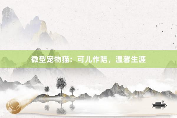 微型宠物猫:可儿作陪,温馨生涯